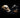 Image of a human skull facing a bird skull