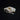 Black-tailed Prairie Dog Skull #3
