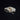 Black-tailed Prairie Dog Skull #1