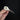 Common Guillemot Skulls