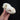 Pathological Australian Red Fox Skull
