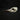 Common Guillemot Skulls