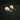 Great Spotted Woodpecker Skulls (with tongue bones)