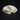 Unknown Breed Cat Skull #1