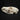 Pathological Australian Red Fox Skull