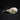 Siberian Hooded Crow Skull