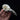 Siberian Hooded Crow Skull
