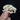 Black-tailed Prairie Dog Skull #3