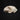 B-Grade Feral Cat Skull