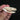 Large California Whipsnake Skull