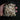 Bags of Craft Fox Vertebrae