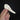 Gadwall Duck Skull
