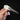 Hamerkop Stork