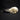 Common Raven Skull