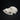 B-grade Papillon Dog Skull