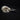 Large Common Raven Skulls
