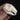 B-grade Domestic Rabbit Skulls