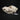 Pekingese Dog Skull