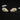 Four-toed Hedgehog Skulls