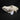 Border Collie Dog Skull #2
