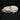 Young Baikal Seal Pup Skull