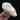 Baikal Seal Skulls
