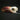 Pathological Von Decken Hornbill Skull