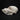 Bichon Frisse Dog Skull