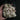 Bags of Craft Fox Vertebrae