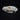 Adult Masked Palm Civet Skull