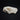 B-grade Steppe Polecat Skull