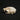 Siberian Flying Squirrel Skulls