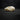 Geriatric/Pathological Squirrel Glider Skull