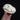 Pathological Raccoon Skull