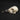 European Jackdaw Skull