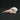 Red and Yellow Barbet Skull