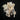 Mixed Lot of Craft Bones #2