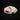 Craft Feral Cat Skull