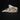 Male Chinese Swan Goose Skull