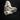 Giant Domestic Pig Skull