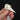 Collared Kingfisher Skull