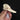 Lesser Whistling Duck Skull
