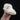 Cavoodle Dog Skull