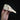 Domestic Goose Skulls