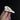 Domestic Goose Skulls