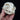 Geriatric Persian Cross Cat Skull