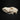 Border Collie Cross Dog Skull