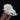 B-grade Papillon Dog Skull