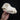 Belgian Shepherd Dog Skull