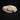 Pathological Raccoon Skull